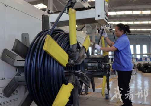 衡水新聞網(wǎng)